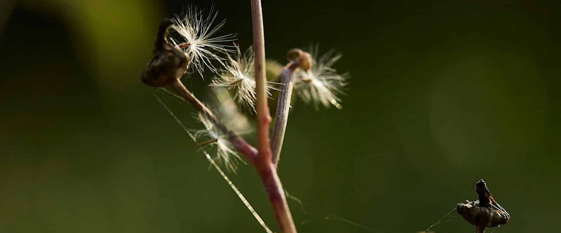 pexels-nikgr-34354199